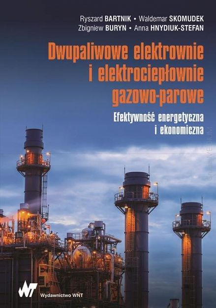 Dwupaliwowe elektrownie i elektrociepłownie gazowo-parowe. Efektywność energetyczna i ekonomiczna