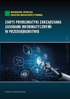 Zarys problematyki zarządzania zasobami informatycznymi w przedsiębiorstwie