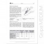 Stalowe blachy trapezowe jako konstrukcja nośna dachów płaskich DAFA ID 1.01 ebook PDF - 2