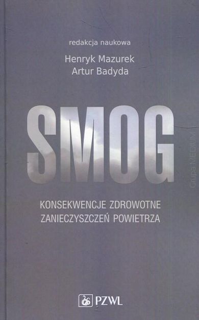 Smog. Konsekwencje zdrowotne zanieczyszczeń powietrza 