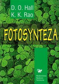 Fotosynteza