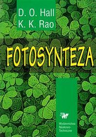 Fotosynteza